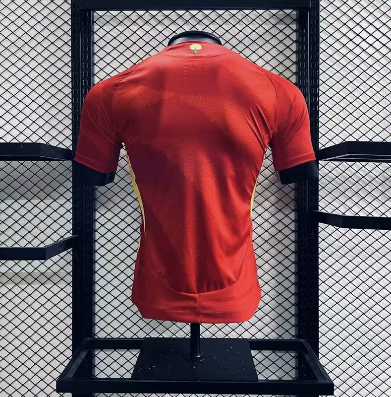 Spain 2024∕25 Euro Home Jersey Player Version(536E)