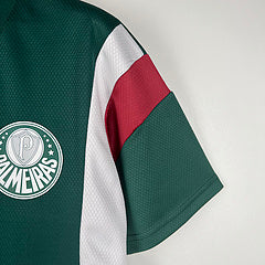 Camisa do Palmeiras 23/24  - Green